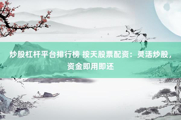 炒股杠杆平台排行榜 按天股票配资：灵活炒股，资金即用即还