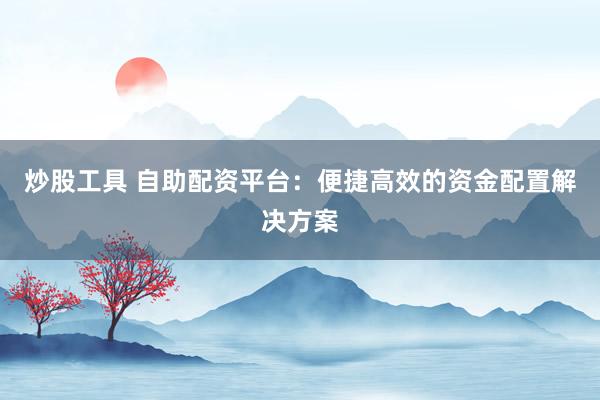 炒股工具 自助配资平台：便捷高效的资金配置解决方案