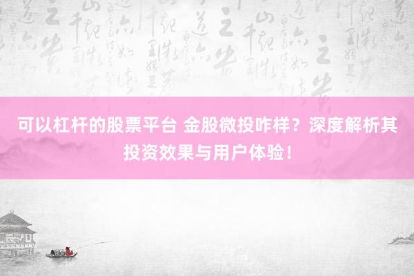 可以杠杆的股票平台 金股微投咋样？深度解析其投资效果与用户体验！
