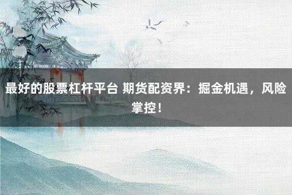 最好的股票杠杆平台 期货配资界：掘金机遇，风险掌控！