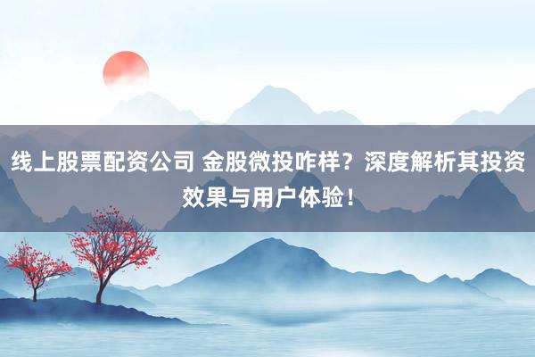 线上股票配资公司 金股微投咋样？深度解析其投资效果与用户体验！