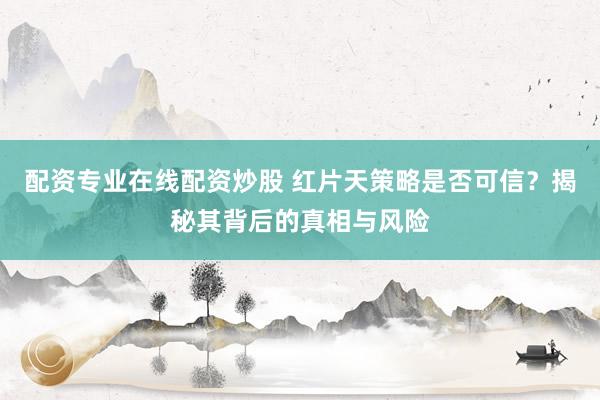 配资专业在线配资炒股 红片天策略是否可信？揭秘其背后的真相与风险