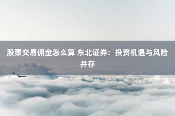 股票交易佣金怎么算 东北证券：投资机遇与风险并存