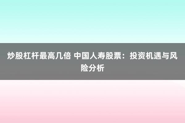 炒股杠杆最高几倍 中国人寿股票：投资机遇与风险分析