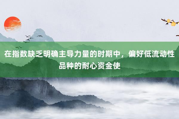 在指数缺乏明确主导力量的时期中，偏好低流动性品种的耐心资金使