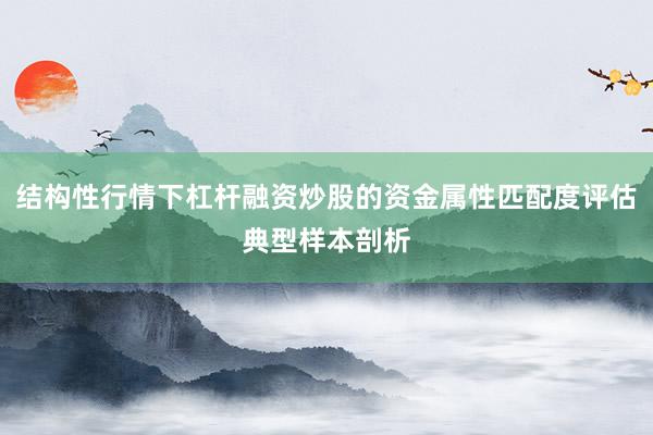 结构性行情下杠杆融资炒股的资金属性匹配度评估典型样本剖析