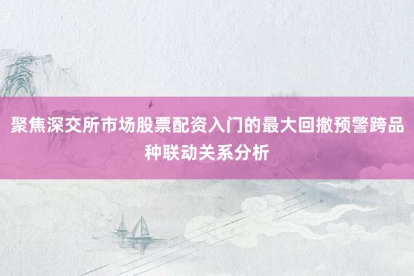 聚焦深交所市场股票配资入门的最大回撤预警跨品种联动关系分析