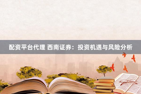 配资平台代理 西南证券：投资机遇与风险分析