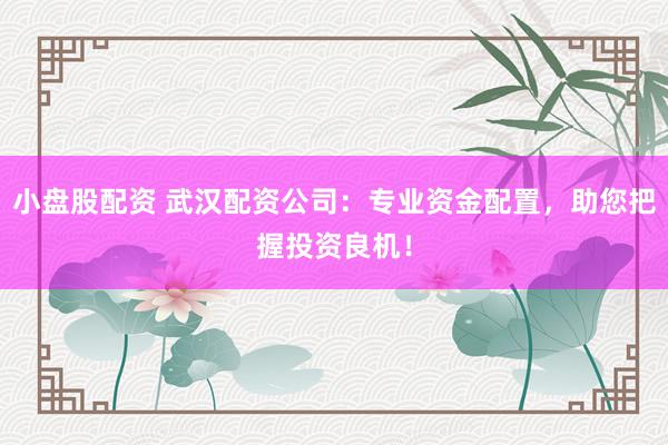 小盘股配资 武汉配资公司：专业资金配置，助您把握投资良机！