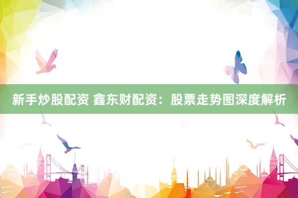 新手炒股配资 鑫东财配资：股票走势图深度解析