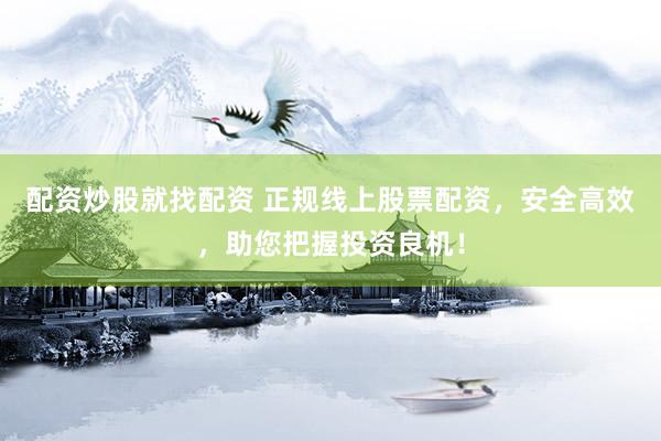 配资炒股就找配资 正规线上股票配资，安全高效，助您把握投资良机！
