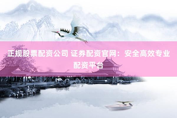 正规股票配资公司 证券配资官网：安全高效专业配资平台