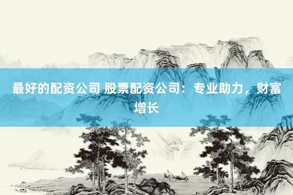 最好的配资公司 股票配资公司：专业助力，财富增长